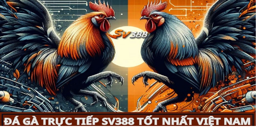 Thông tin chung về đá gà SV388