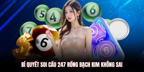 Bí quyết soi cầu 247 Rồng Bạch Kim không sai