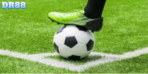 Cá cược hiệu quả nhờ tỷ lệ cược minh bạch trên Dr88