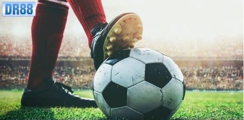 Tìm hiểu một vài thông tin về thể thao Dr88