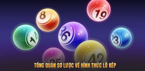 Tổng quan sơ lược về hình thức lô kép