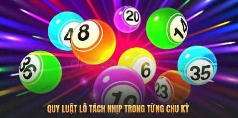 Quy luật lô tách nhịp trong từng chu kỳ