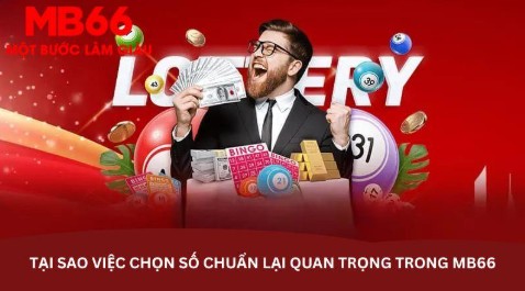 Tại sao việc chọn số chuẩn lại quan trọng trong MB66