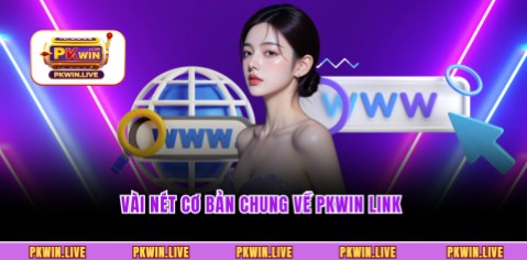 Vài nét cơ bản chung về PKWIN link 