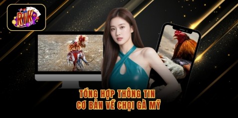 Tổng hợp thông tin cơ bản về chọi gà Mỹ