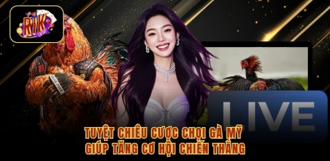 Tuyệt chiêu cược chọi gà Mỹ giúp tăng cơ hội chiến thắng