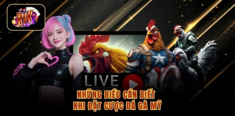 Những điều cần biết khi đặt cược đá gà Mỹ