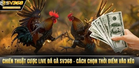 Giờ vàng nổ hũ – thời điểm dễ kích hũ, khó bỏ lỡ