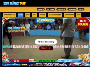 Hàng loạt kênh phát đá gà hot có mặt tại GAKING79