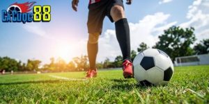 XO88 tổng hợp và hiển thị tỷ lệ nhiều nhà cái lớn nhỏ