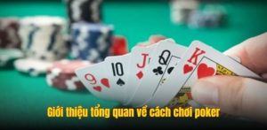 Giới thiệu tổng quan về cách chơi poker